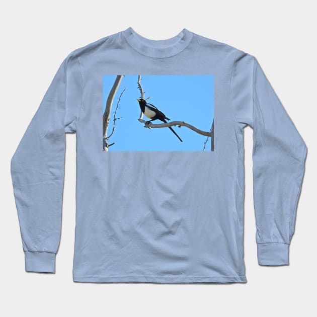 Wild birds, magpie, wildlife, A California Gem Long Sleeve T-Shirt by sandyo2ly